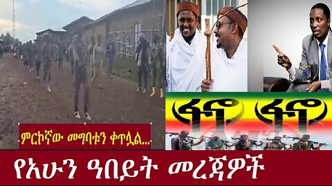 ምርኮኛው መግባቱን ቀጥሏል! የአሁን ዓበይት መረጃዎች Nov 21,2024