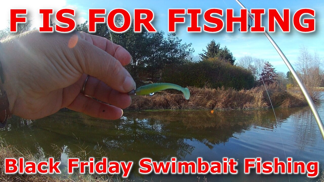 Black Friday Swimbait Fishing