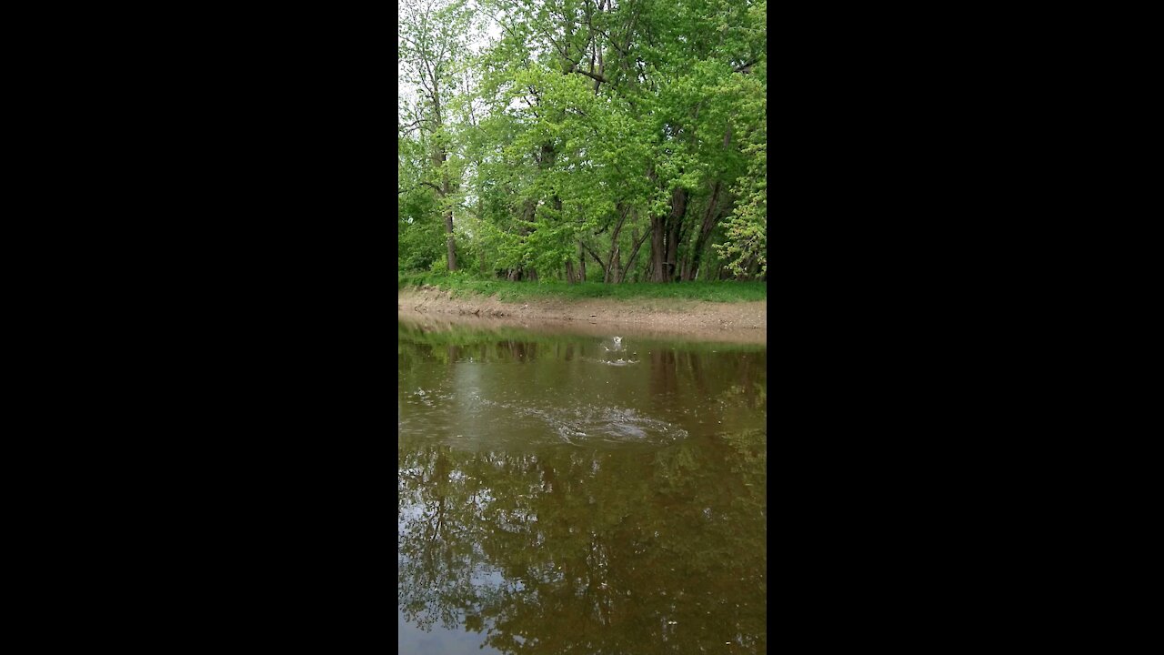 Skipping rocks on the grand river