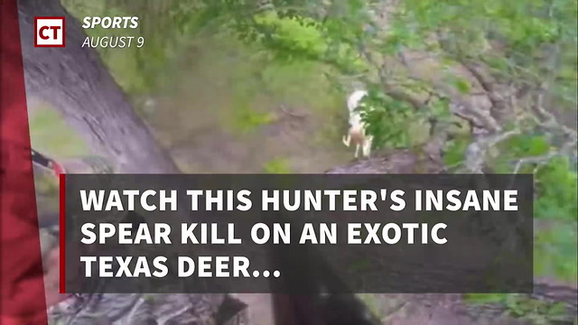 Watch This Hunter's Insane Kill On An Exotic Texas Deer