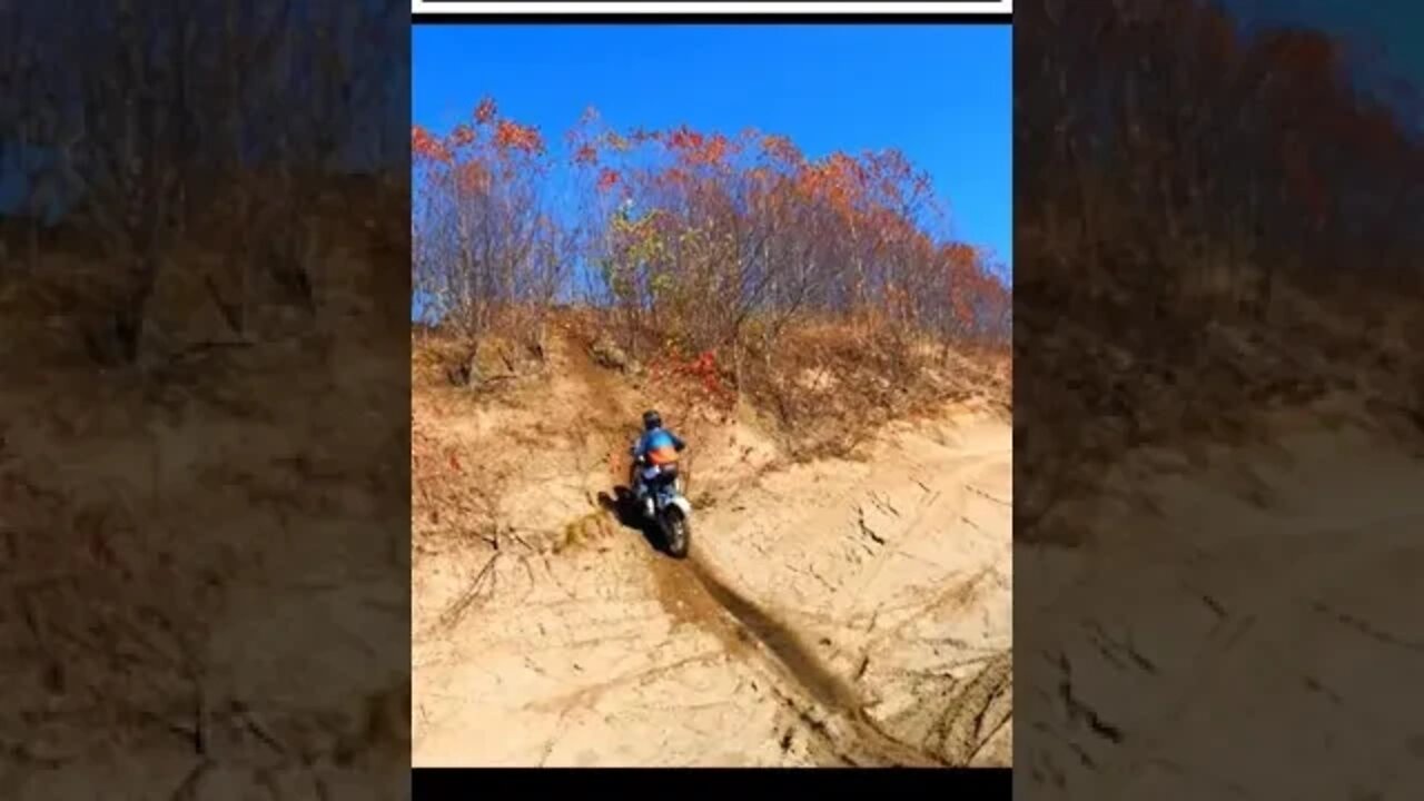 AWESOME!! Hill Climb 🤩 by The Dirt Bike Kitten 😼 making it look easy 😎 with his motocross skills 🤪