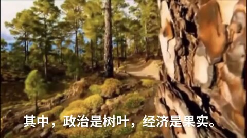 一句话开悟20220110