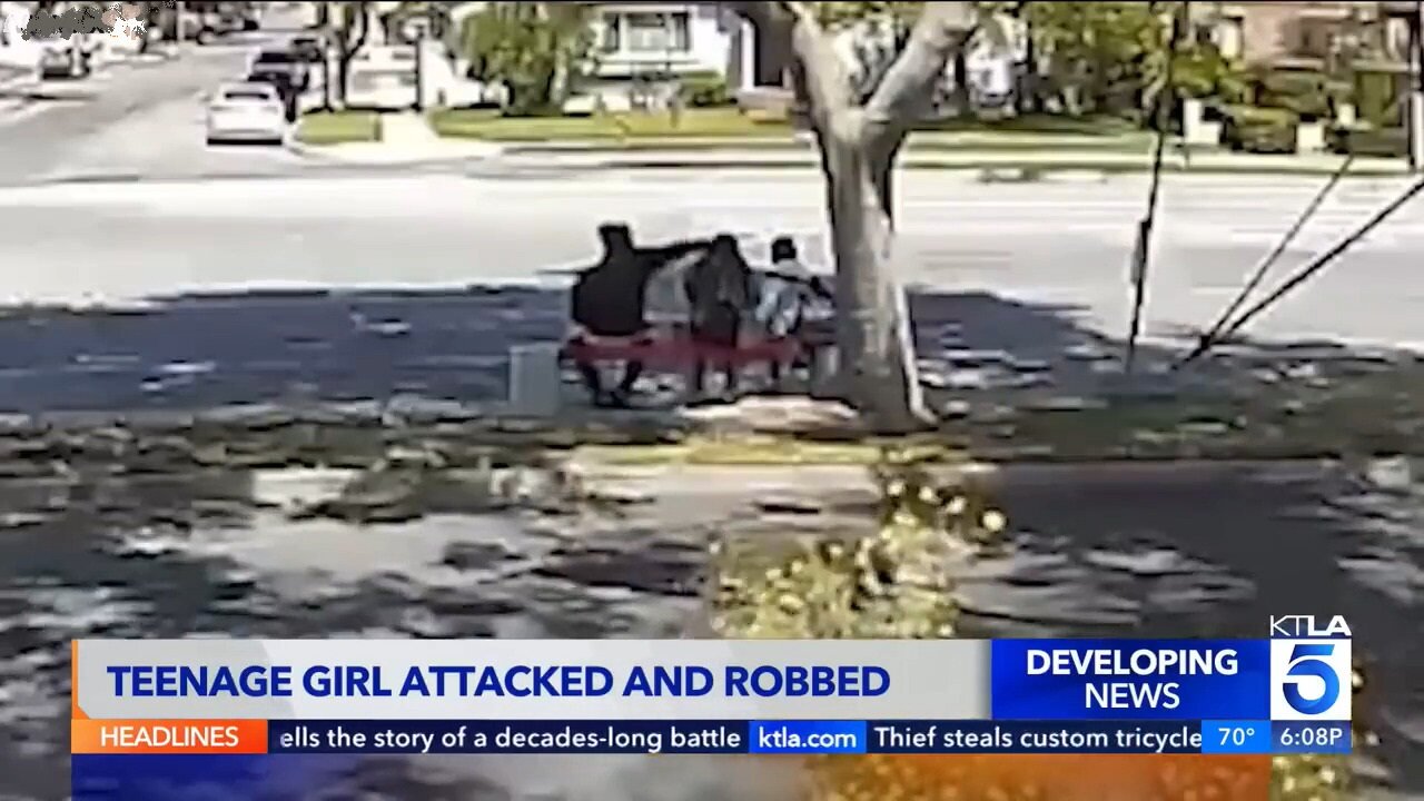 Teen Girl Waiting For The Bus Is Brutally Assaulted And Robbed In Long Beach