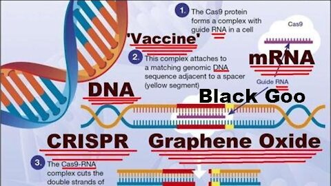 Human Nature: What is 'CRISPR'? Graphene Oxide? Black Goo? (Reloaded) [15.10.2021]