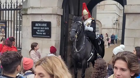 Boy in between wall and horse guard shouts get back #horseguardsparade