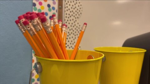 Pinellas County Schools graduate returns to district to start teaching career