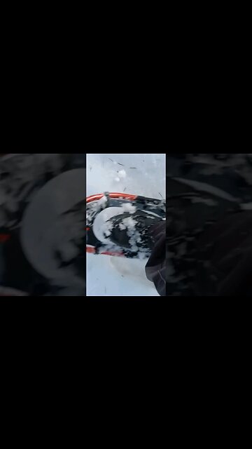 Cold Snow. #shorts #livefree