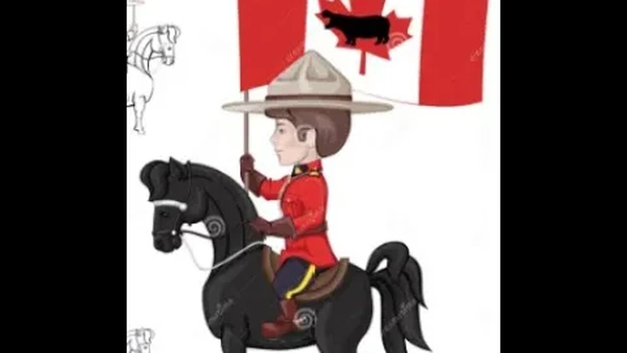 @btmsparkypiratequeen and I talk about How many Mounties does it take to get a Qweenie on the ground