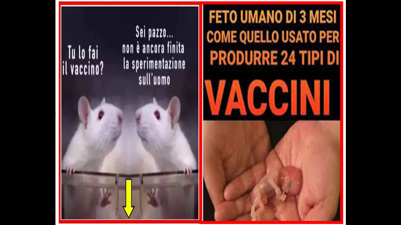 🔺BAMBINI USATI COME CAVIE PER LA RICERCA SUI VACCINI🔺