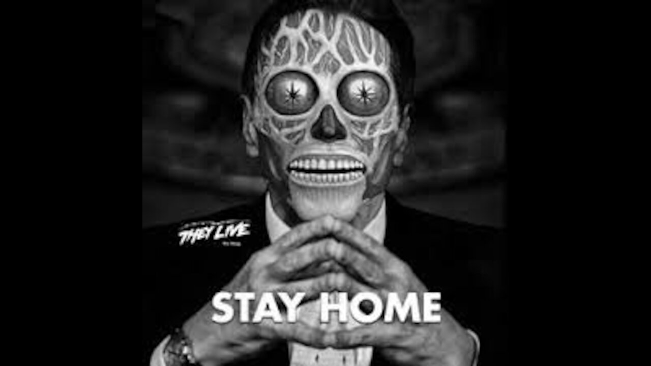 They Live We Sleep By Moogy Naura