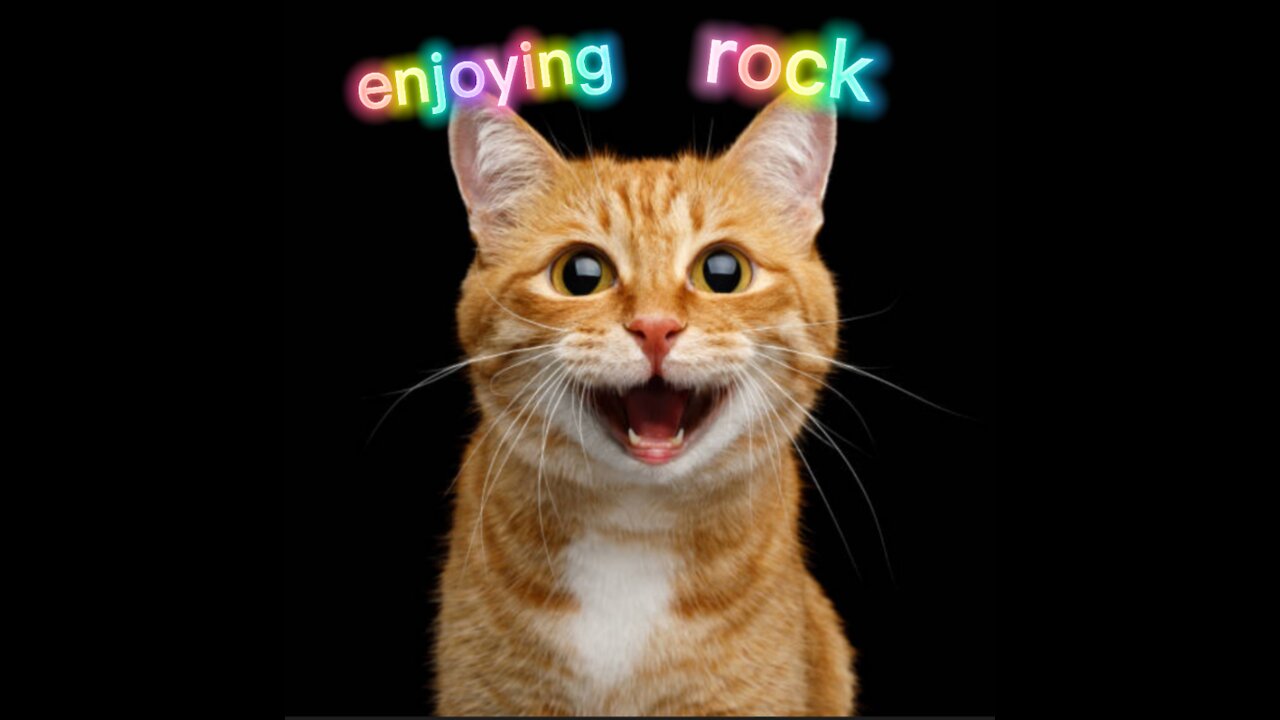 Super happy cat