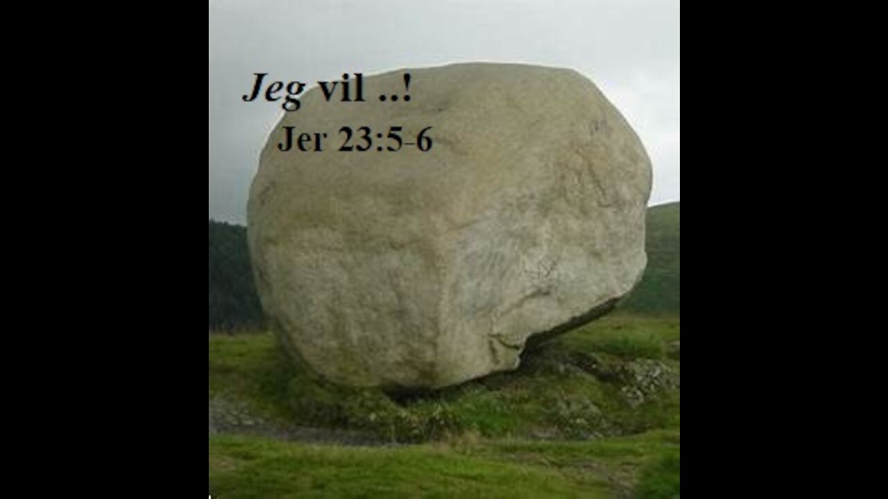 Oslo Lighthouse Coffee 2020: 2. Jeg vil ..!