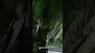 Kratos Being A Savage
