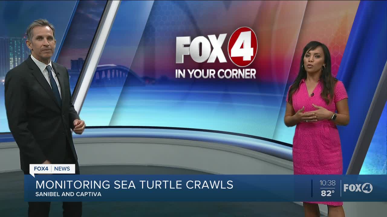 Sea Turtles to be monitored in Sanibel and Captiva