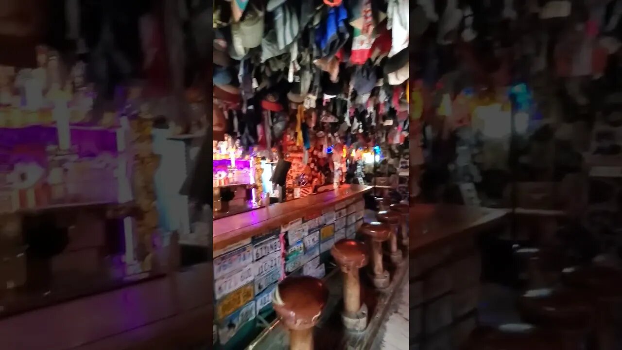 Chicken Creek saloon chicken Alaska #alaskacity #travel