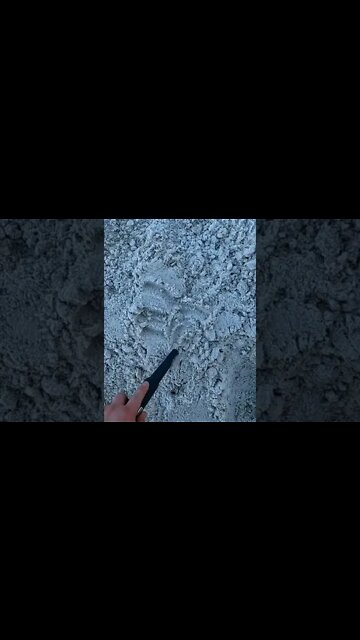 beach detecting #shorts #youtubeshorts #beautiful