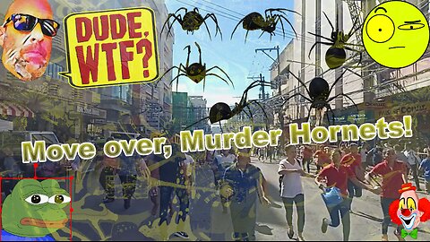 PANIC FEAR! Invasion of the Killer Spiders! - Dude, WTF?