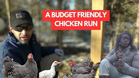 Building A BUDGET FRIENDLY Chicken Run