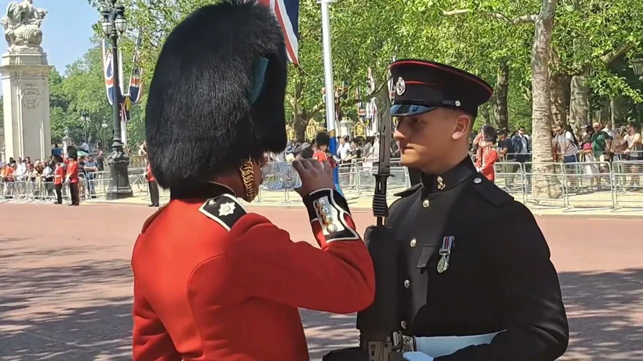 colonel's review 30 degree heat soldier giving soldier's on duty water #thekingsguard