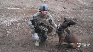 St. Pete officer surprised with canine companion