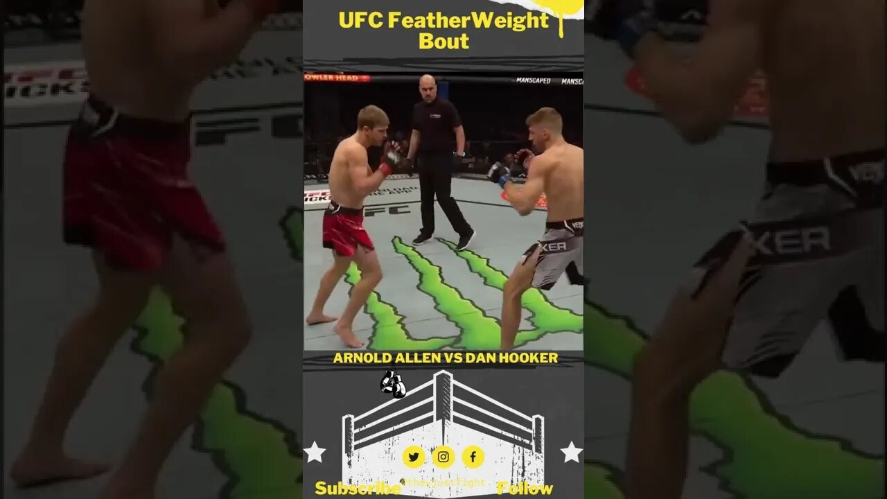 UFC, Arnold Allen vs Dan Hooker