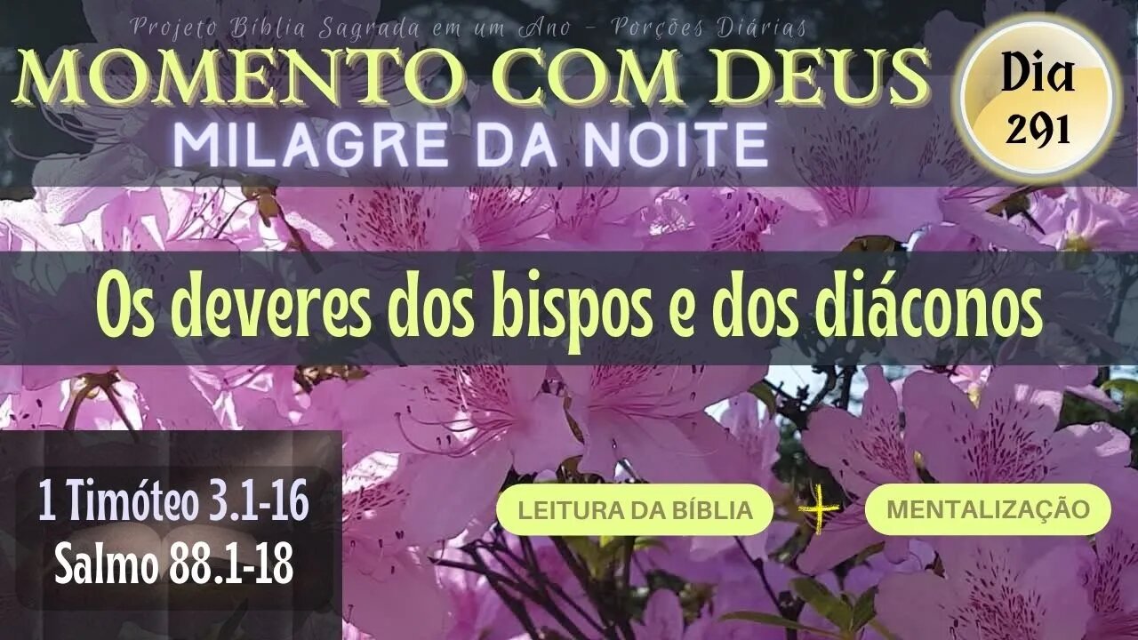 MOMENTO COM DEUS - LEITURA DIÁRIA DA BÍBLIA | MILAGRE DA NOITE - Dia 291/365 #biblia