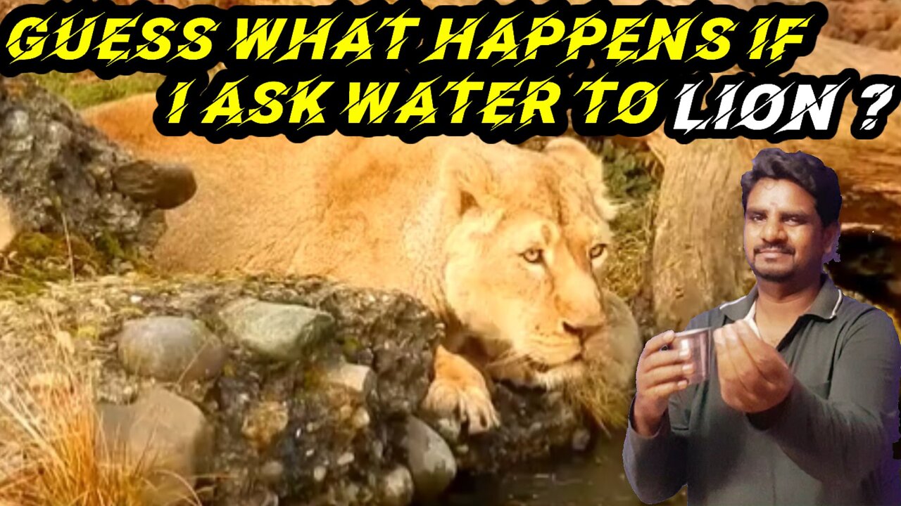 Funny animals video | Asking water to Lion | RJ Ashok 1994