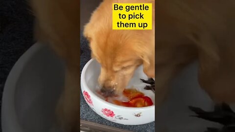 Live by Example...., #short