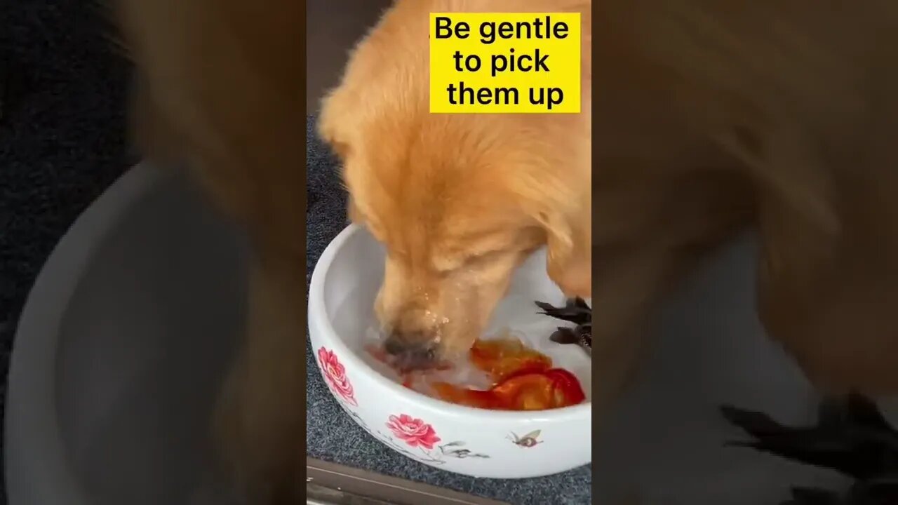 Live by Example...., #short