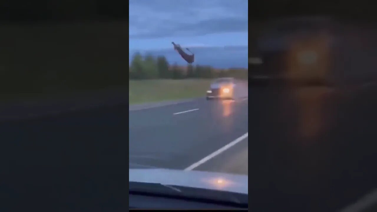O motorista fez a coisa certa ou deveria ter parado? 😳