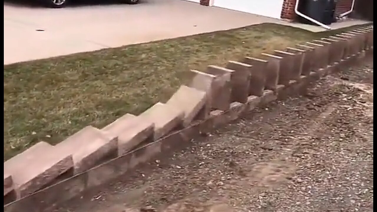 You Have Never Seen A Domino Set Up Like This - HaloRock