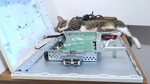 This Cat Is Fascinated with Computer Repairs
