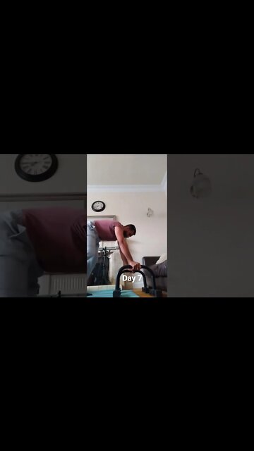 Day 7 - Learning How To Do Handstand Push Ups