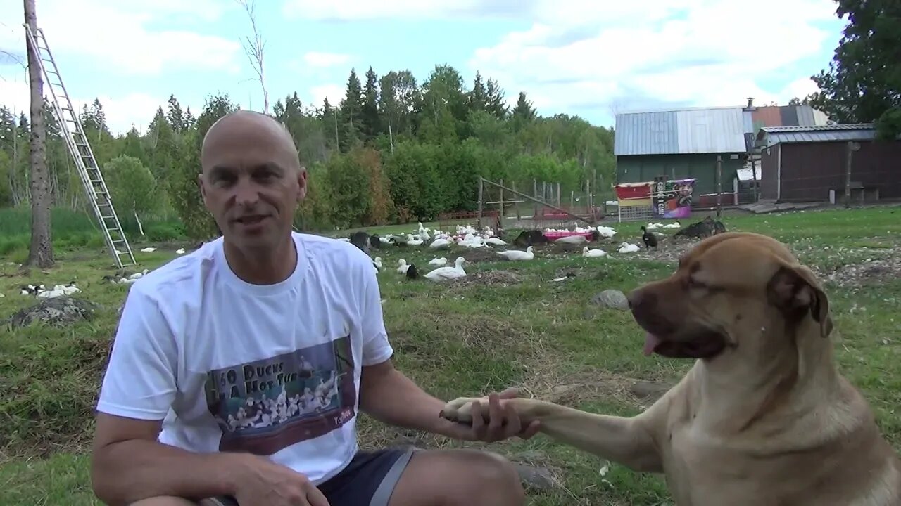 Dug Moments #13 F%$K Dug Bad Dog... Final Complete Outtake June 26th, 2015