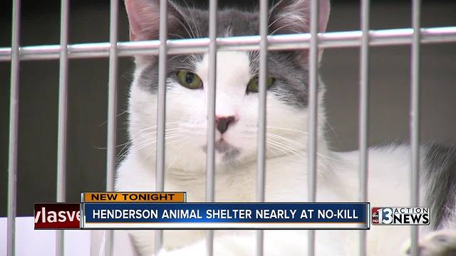 Henderson Animal Shelter almost a no-kill shelter