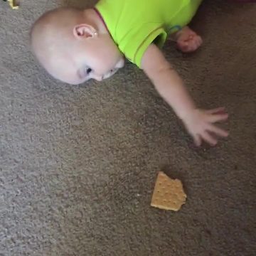 Who First Reaches A Cracker Gets To Eat It