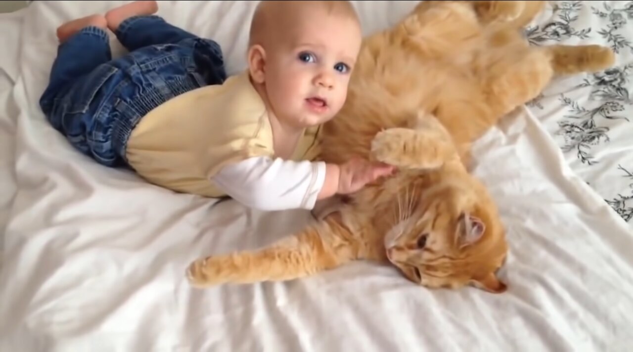 Cats Meeting Baby for the FIRST Time Compilation