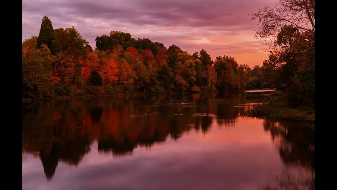 Vivid Autumn Scenes for Peace, Relaxation and Stress Relief