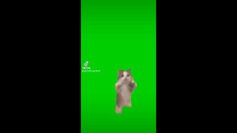 green screen