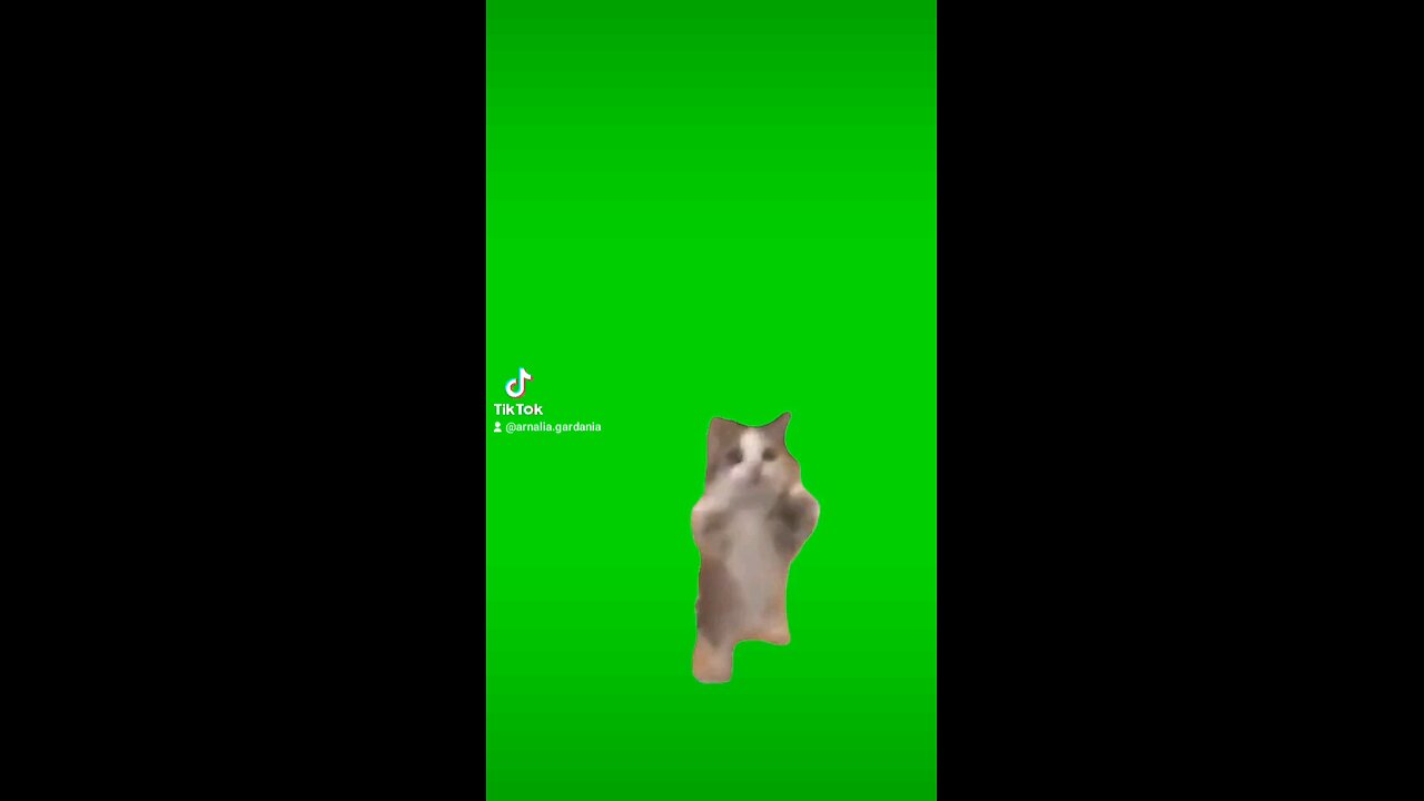 green screen