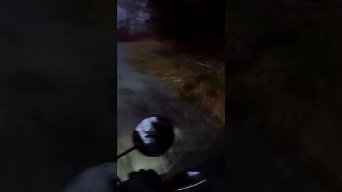 crazy racoon runs in front of motorcycle.