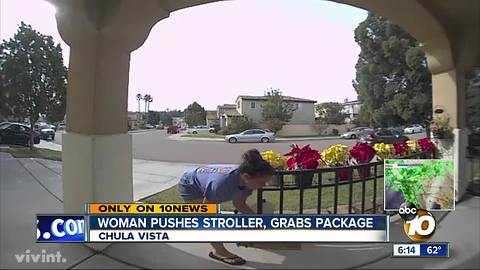 Package stolen by woman with child in stroller