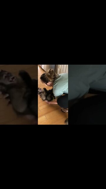 This is my mommas wifey and I just love her so much too xoxo I was so excited to see her! #Shorts