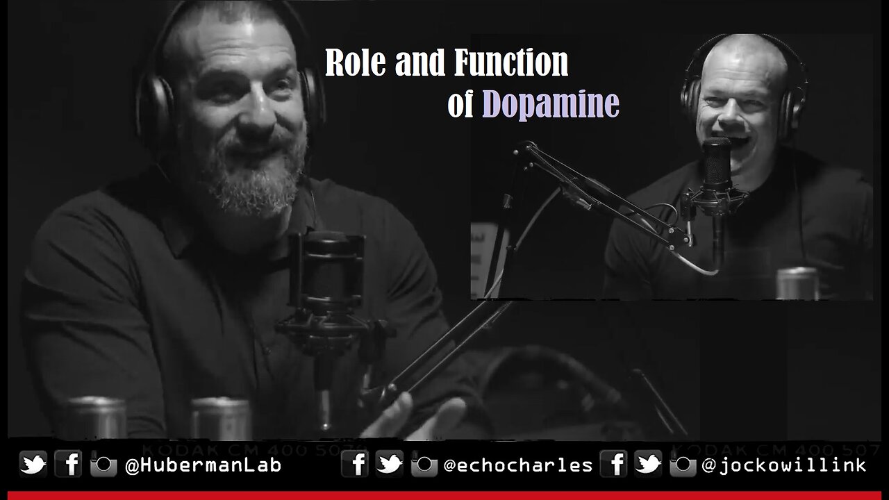 Role And Function Of Dopamine - Jocko Willink & Andrew Huberman