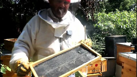 NEW BEE KEEPER TOOK SOME VERY VERY GOOD ADVICE !