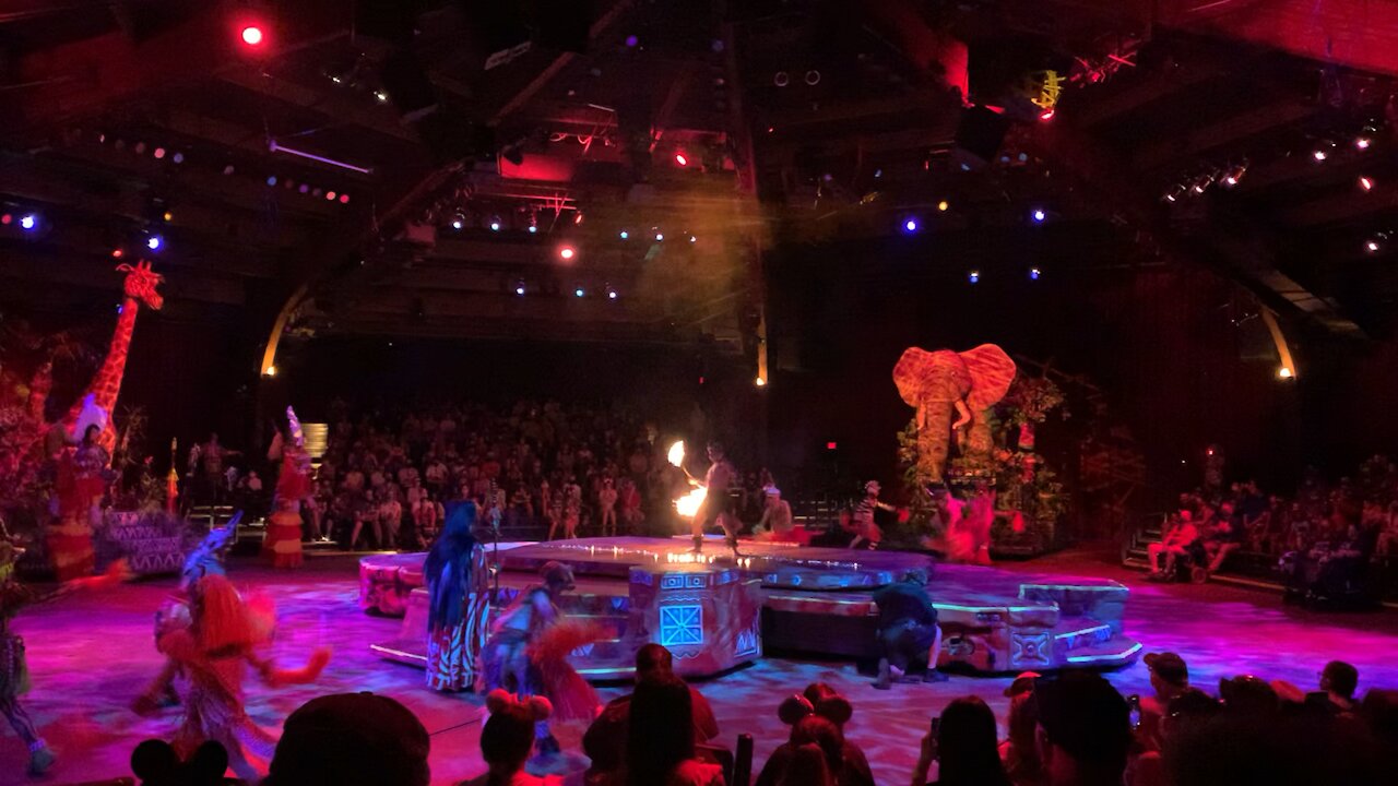 Animal Kingdom - Lion King Show.