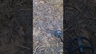 XP ORX under power lines.