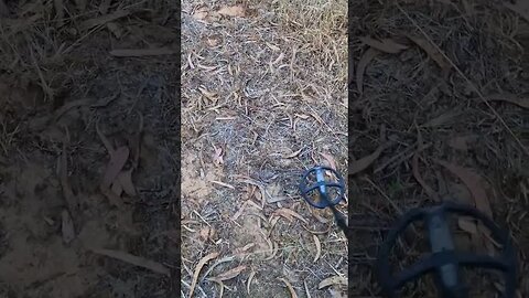XP ORX under power lines.