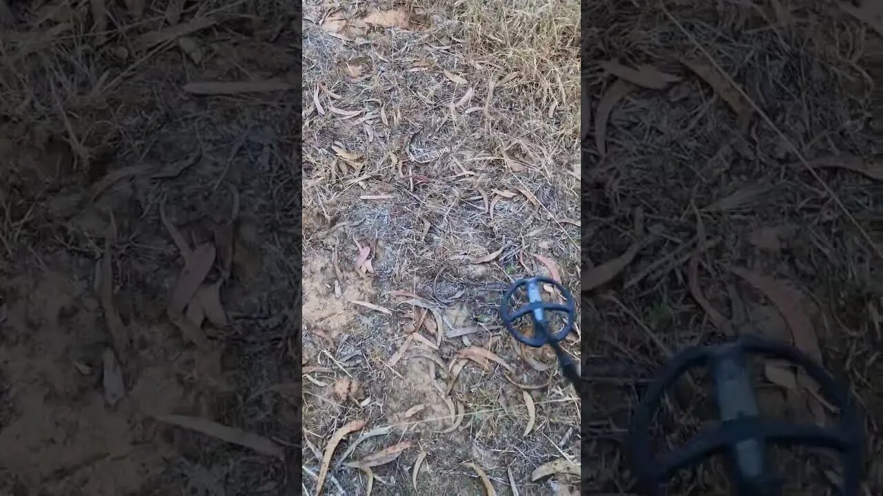 XP ORX under power lines.