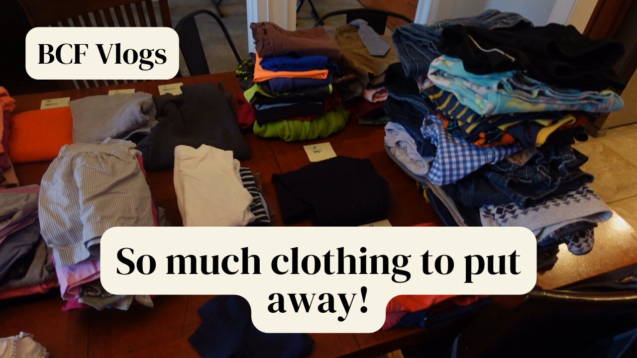 Vlog | So much clothing to put away!